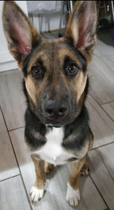 Kristian Summers-Calvert