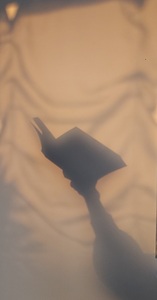 Les lectures de Sophie 