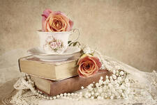 Bianca Meesters-Hollander