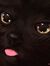 Kit