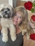 Leann S...