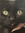 AvidReader
