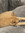 AveryM