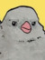 Birb