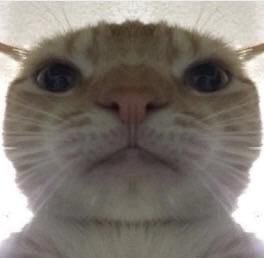 Goodreads profile picture for @hater