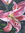 Jeanette | 12 comments