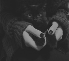 الأرْملة السَّوْداء