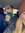 Erin