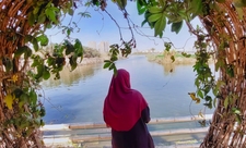 تسنيم الهلالي