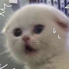 Ems