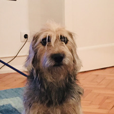 Paulo