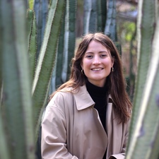 Ine Lippens