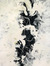 Morphée 