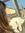 member photo member photo