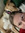 Amanda (limegreenpuppies12) | 3 comments
