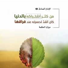 علاوي ستراوي