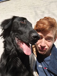Gijs
