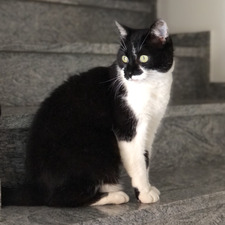 Kilian