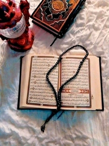 سنابل محمد سمير