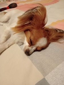 Chloe