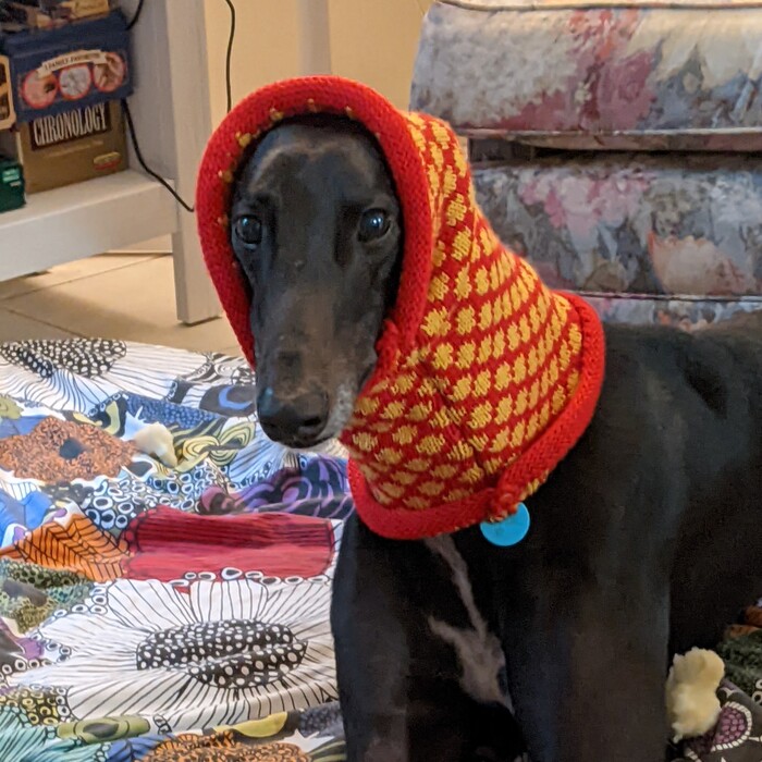 Goodreads profile picture for @tracking