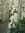 Annelies S.