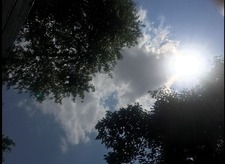esh