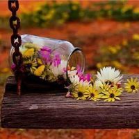 خالد الأحمد