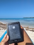 The.Roaming.Reader