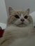 Kinga