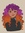 Aisprie