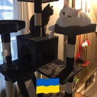 Connie Perras Ritchie