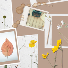 Bookworm Express Kwan