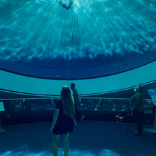 Sofia Marcocci Oliveira