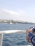 صهيب عوادي