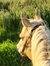 Sigrid ...
