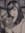 member photo member photo