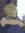 member photo member photo