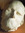 Nassim -