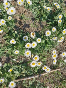 SolèneNgugu