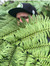 Justin