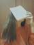 nicolae