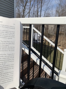 Stephanie Sredzinski