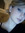 Maaike | 2 comments