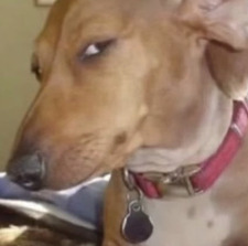 bruh