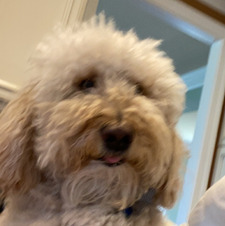 Allie220 ✊&#X1f44a;