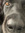 mia mandel