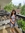 Trisha Das
