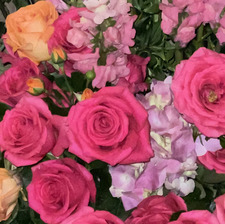 Abigail Kellenbarger