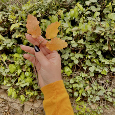 Adutxi